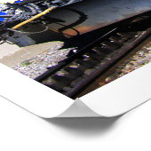 Marmots-trein in Zwitserland Poster (Hoek)