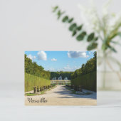 Marmousets wandelen in de tuinen van Versailles Briefkaart (Staand voorkant)