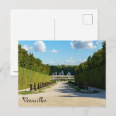 Marmousets wandelen in de tuinen van Versailles Briefkaart (Voorkant / Achterkant)