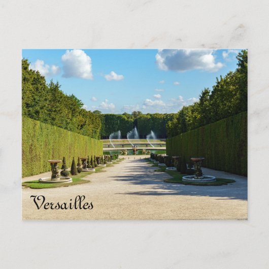 Marmousets wandelen in de tuinen van Versailles Briefkaart (Voorkant)