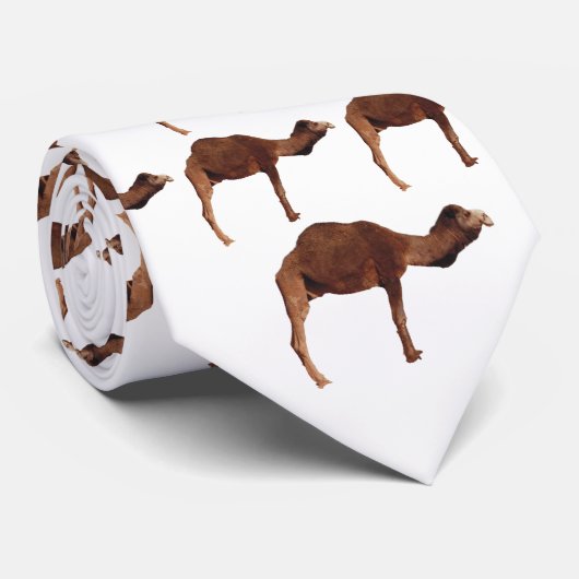 Marokkaans Stropdas Camel (Opgerold)