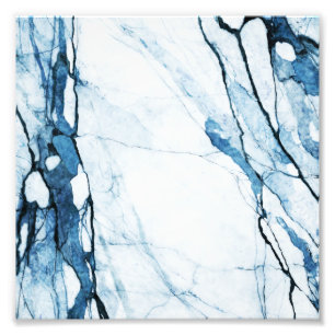 Marokkaanse blauwvis foto afdruk