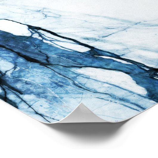 Marokkaanse blauwvis poster (Hoek)