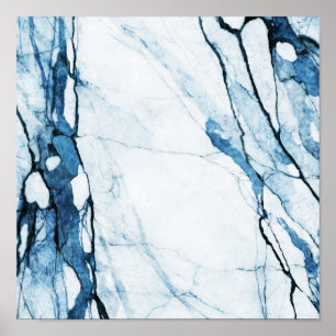 Marokkaanse blauwvis poster