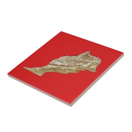 Marokkaanse plattegrond tegeltje (Zijkant)