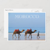 marokkaanse strandkamelen briefkaart (Voorkant / Achterkant)
