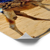 marokko arab kameel zeestrand poster (Hoek)
