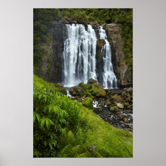Marokopa waterval, Nieuw-Zeeland Poster (Voorkant)