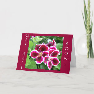 Maroon Beauty, wordt gezond, binnenkort! Kaart