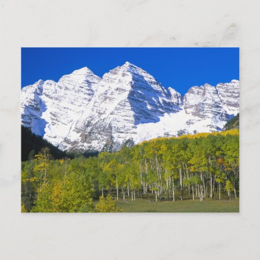 Maroon Bells met herfst espenbos. Briefkaart (Voorkant)