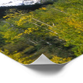 Maroon Bells met herfst espenbos. Poster (Hoek)