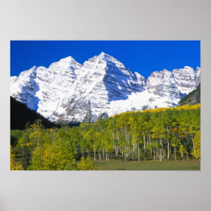 Maroon Bells met herfst espenbos. Poster