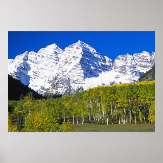 Maroon Bells met herfst espenbos. Poster (Voorkant)