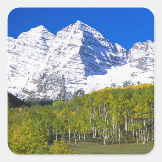 Maroon Bells met herfstespenbos. Vierkante Sticker (Voorkant)