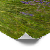 Maroon Bells reflecteert in Calm Maroon Lake Poster (Hoek)