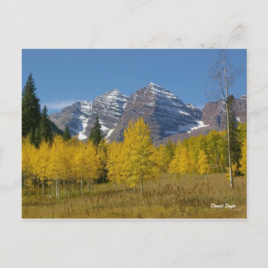 Maroon Bells Series #4, Autumn Reflection. Briefkaart (Voorkant)