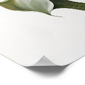 Maroon Calla Lilies Lily Flower Art Print Poster (Hoek)