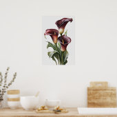 Maroon Calla Lilies Lily Flower Art Print Poster (Keuken)