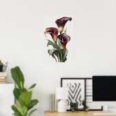 Maroon Calla Lilies Lily Flower Art Print Poster (Thuiskantoor)