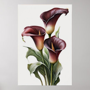 Maroon Calla Lilies Lily Flower Art Print Poster