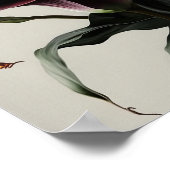 Maroon Calla Lilies Lily Flower Art Print Poster (Hoek)