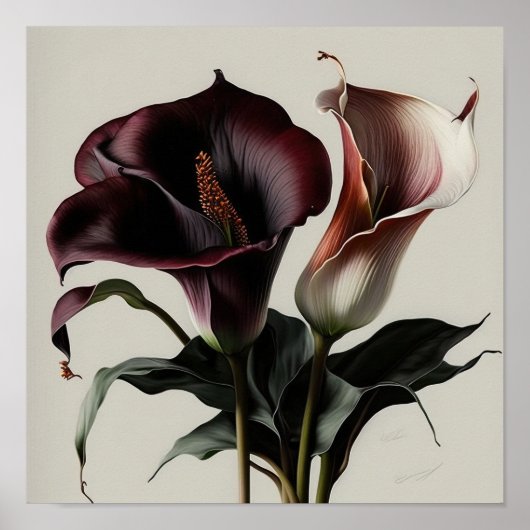 Maroon Calla Lilies Lily Flower Art Print Poster (Voorkant)