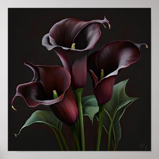Maroon Calla Lilies Lily Flower Art Print Poster (Voorkant)
