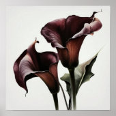 Maroon Calla Lilies Lily Flower Art Print Poster (Voorkant)