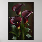 Maroon Calla Lilies Lily Flower Art Print Poster (Voorkant)