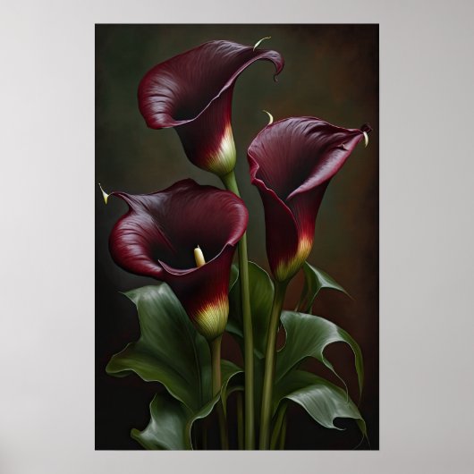 Maroon Calla Lilies Lily Flower Art Print Poster (Voorkant)