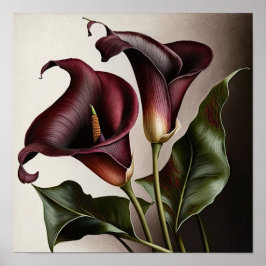Maroon Calla Lilies Lily Flower Art Print Poster