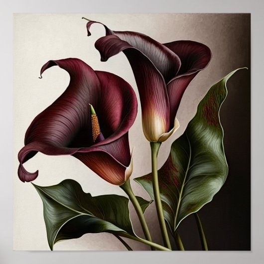 Maroon Calla Lilies Lily Flower Art Print Poster (Voorkant)