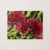 Maroon Chrysanthemums Legpuzzel (Horizontaal)