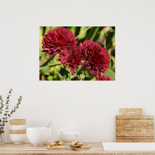 Maroon Chrysanthemums Poster (Keuken)
