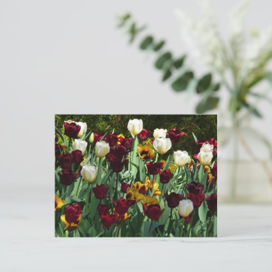 Maroon en gele Tulpen kleurrijke Floral Briefkaart (Staand voorkant)