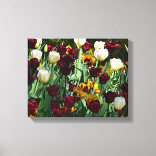 Maroon en gele Tulpen kleurrijke Floral Canvas Afdruk