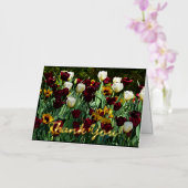 Maroon en gele Tulpen kleurrijke Floral Folie Wenskaart (Orchidee)