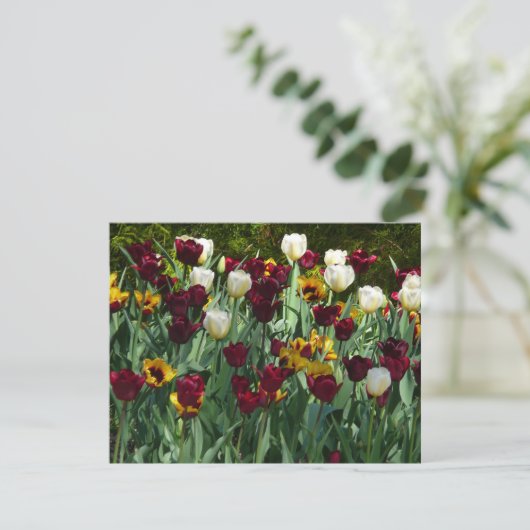 Maroon en gele Tulpen kleurrijke Floral Kaart (Staand voorkant)