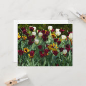 Maroon en gele Tulpen kleurrijke Floral Kaart (Voorkant / Achterkant in situ)