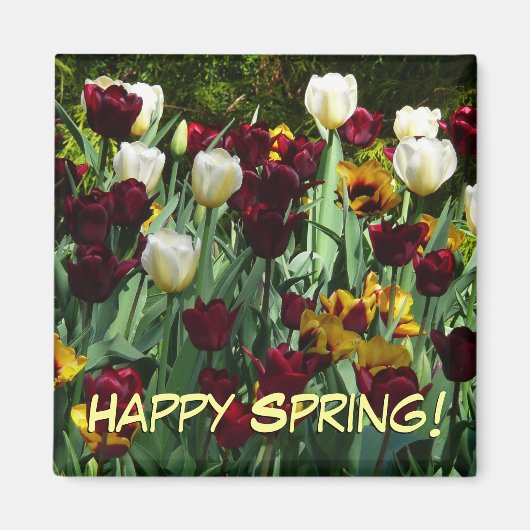 Maroon en gele Tulpen kleurrijke Floral Magneet (Voorkant)