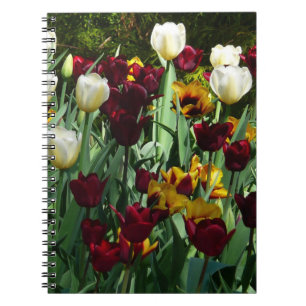 Maroon en gele Tulpen kleurrijke Floral Notitieboek