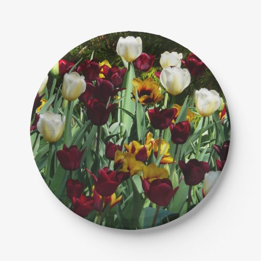 Maroon en gele Tulpen kleurrijke Floral Papieren Bordje (Voorkant)