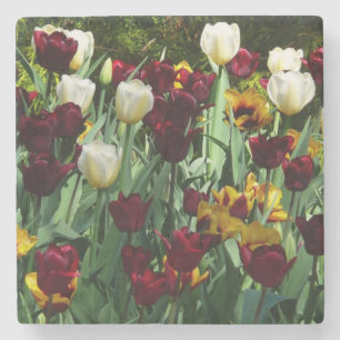 Maroon en gele Tulpen kleurrijke Floral Stenen Onderzetter