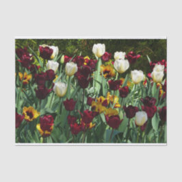Maroon en gele Tulpen kleurrijke Floral Tissuepapier