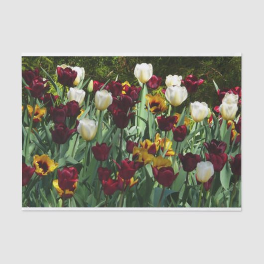 Maroon en gele Tulpen kleurrijke Floral Tissuepapier (Voorkant)