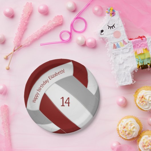 Maroon-grijze volleybalfeest papieren bordje (Feest)