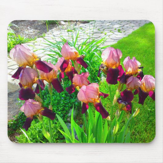 Maroon Iris Flower Mousepad Muismat (Voorkant)