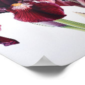 Maroon Irissen Bloemenkunst Print Poster (Hoek)