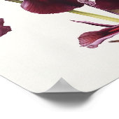 Maroon Irissen Bloemenkunst Print Poster (Hoek)