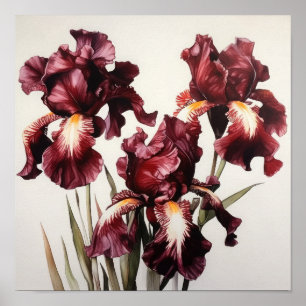 Maroon Irissen Bloemenkunst Print Poster